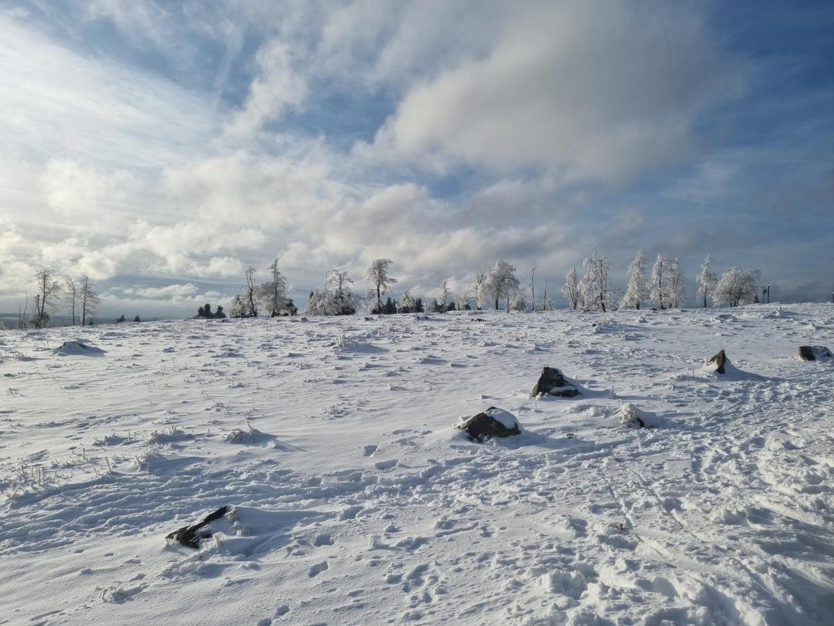 Ferienwohnung Schanzenblick Winterberg Dış mekan fotoğraf